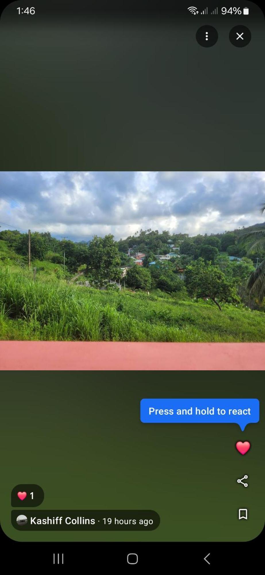 Natrue'S Haven Bed & Breakfast Marigot ภายนอก รูปภาพ
