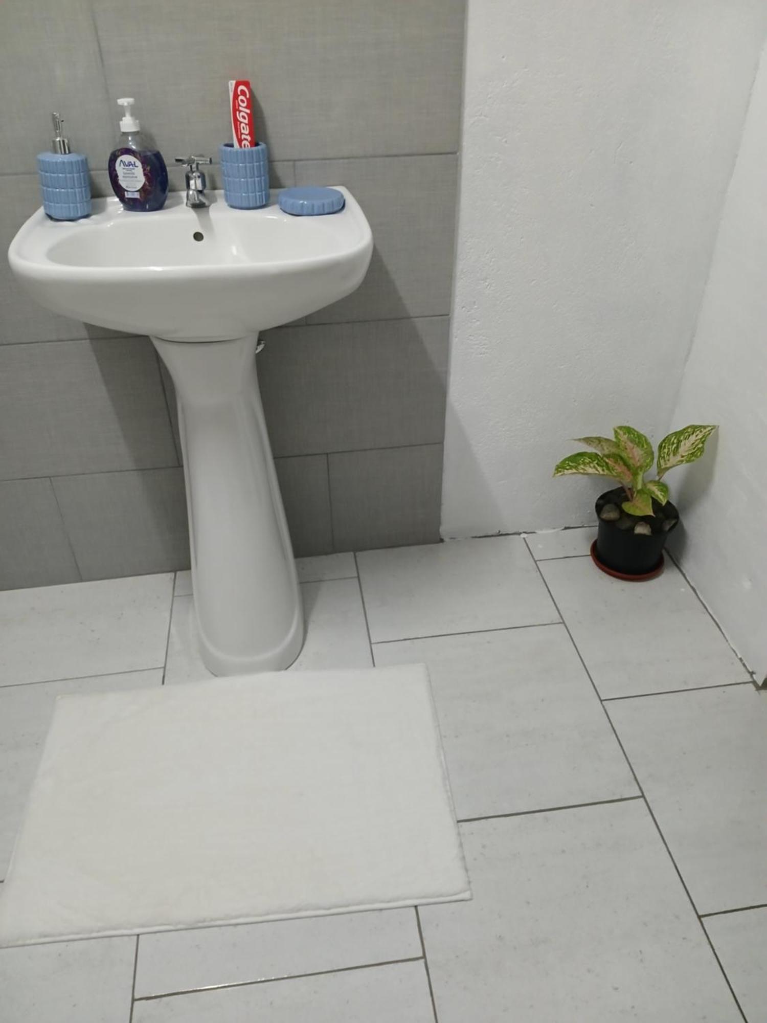Natrue'S Haven Bed & Breakfast Marigot ภายนอก รูปภาพ